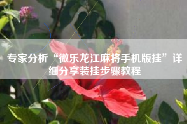 专家分析“微乐龙江麻将手机版挂”详细分享装挂步骤教程