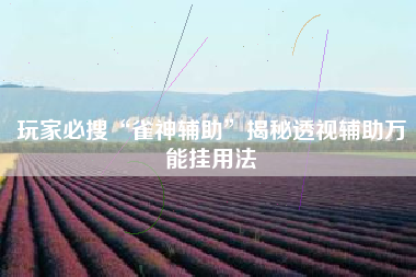玩家必搜“雀神辅助”揭秘透视辅助万能挂用法