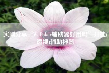 实测分享“WePoker辅助器好用吗	”开挂(透视)辅助神器