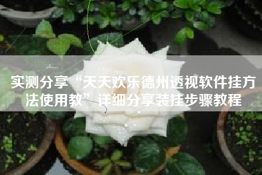 实测分享“天天欢乐德州透视软件挂方法使用教”详细分享装挂步骤教程