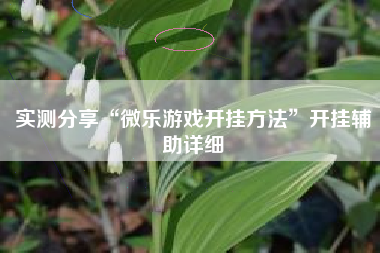 实测分享“微乐游戏开挂方法”开挂辅助详细 实测分享“微乐游戏开挂方法”开挂辅助详细