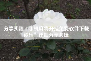 分享实测“手机麻将开挂免费软件下载微乐”详细分享装挂