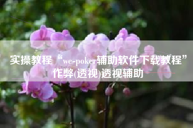 实操教程“we-poker辅助软件下载教程	”作弊(透视)透视辅助