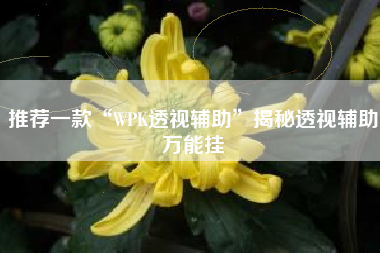 推荐一款“WPK透视辅助	”揭秘透视辅助万能挂