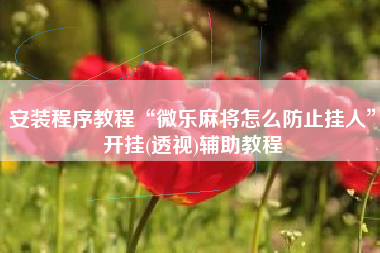 安装程序教程“微乐麻将怎么防止挂人”开挂(透视)辅助教程