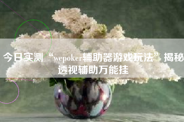 今日实测“wepoker辅助器游戏玩法”揭秘透视辅助万能挂