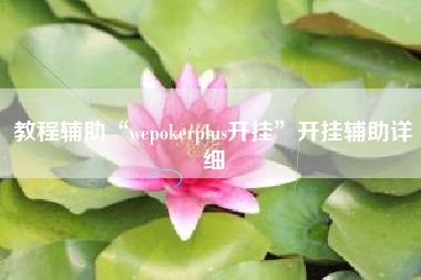 教程辅助“wepokerplus开挂”开挂辅助详细