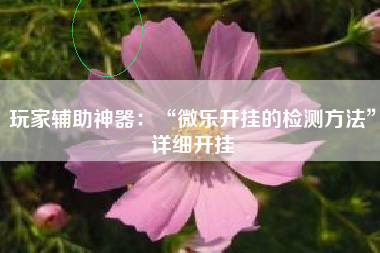 玩家辅助神器：“微乐开挂的检测方法	”详细开挂