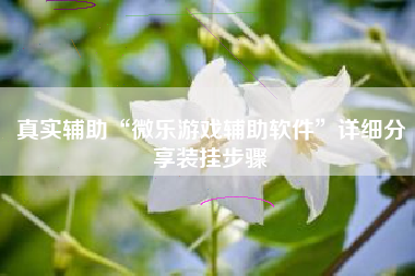 真实辅助“微乐游戏辅助软件	”详细分享装挂步骤