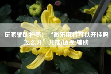 玩家辅助神器：“微乐麻将可以开挂吗怎么开”开挂(透视)辅助