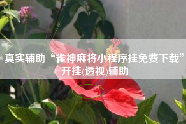 真实辅助“雀神麻将小程序挂免费下载”开挂(透视)辅助