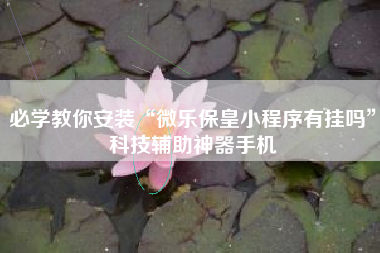 必学教你安装“微乐保皇小程序有挂吗	”科技辅助神器手机