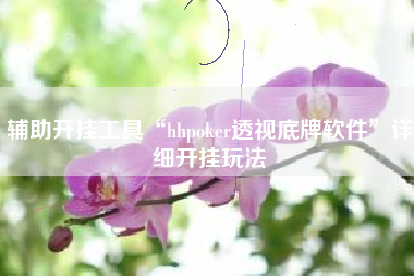 辅助开挂工具“hhpoker透视底牌软件”详细开挂玩法