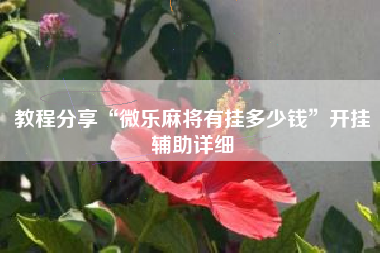 教程分享“微乐麻将有挂多少钱”开挂辅助详细