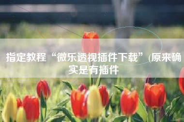 指定教程“微乐透视插件下载”(原来确实是有插件