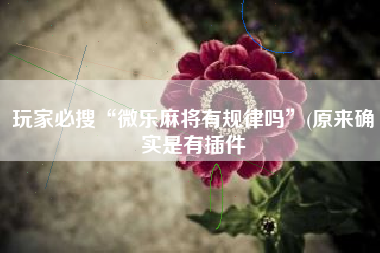 玩家必搜“微乐麻将有规律吗”(原来确实是有插件