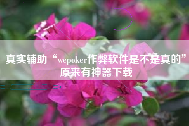 真实辅助“wepoker作弊软件是不是真的”原来有神器下载
