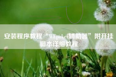 安装程序教程“WEpoker辅助器”附开挂脚本详细教程