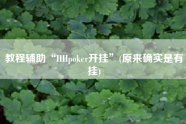 教程辅助“HHpoker开挂”(原来确实是有挂) 教程辅助“HHpoker开挂”(原来确实是有挂)