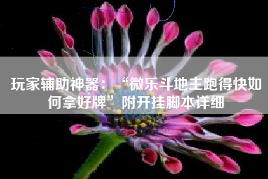 玩家辅助神器：“微乐斗地主跑得快如何拿好牌	”附开挂脚本详细