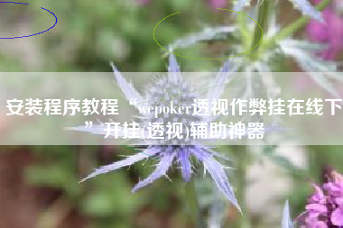 安装程序教程“wepoker透视作弊挂在线下”开挂(透视)辅助神器