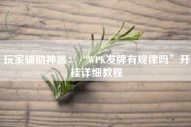 玩家辅助神器：“WPK发牌有规律吗	”开挂详细教程
