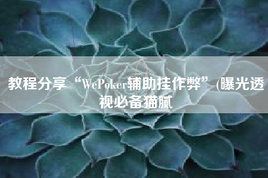 教程分享“WePoker辅助挂作弊”(曝光透视必备猫腻