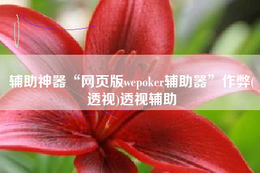 辅助神器“网页版wepoker辅助器	”作弊(透视)透视辅助