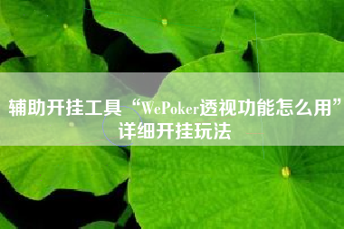 辅助开挂工具“WePoker透视功能怎么用”详细开挂玩法