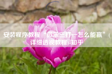 安装程序教程“微乐三打一怎么能赢	”(详细透视教程)-知乎