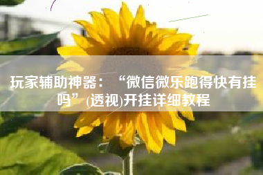 玩家辅助神器：“微信微乐跑得快有挂吗”(透视)开挂详细教程