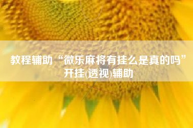 教程辅助“微乐麻将有挂么是真的吗”开挂(透视)辅助