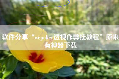 软件分享“wepoker透视作弊挂教程	”原来有神器下载