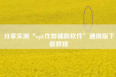 分享实测“wpk作弊辅助软件”通用版下载教程