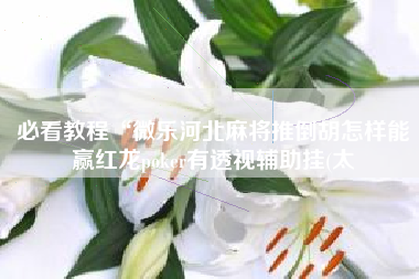 必看教程“微乐河北麻将推倒胡怎样能赢红龙poker有透视辅助挂(太