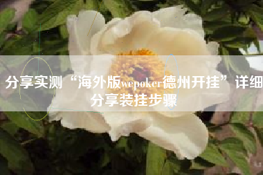 分享实测“海外版wepoker德州开挂	”详细分享装挂步骤