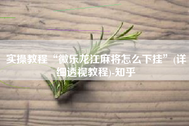 实操教程“微乐龙江麻将怎么下挂”(详细透视教程)-知乎