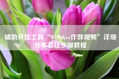 辅助开挂工具“WePoker作弊视频”详细分享装挂步骤教程