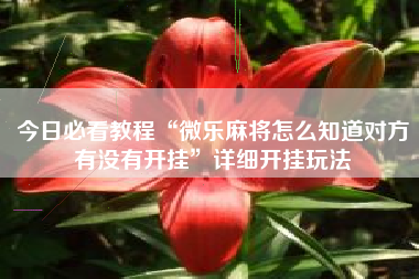 今日必看教程“微乐麻将怎么知道对方有没有开挂	”详细开挂玩法