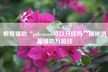 教程辅助“pokemmo可以开挂吗”揭秘透视辅助万能挂