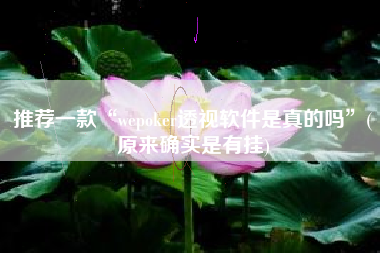 推荐一款“wepoker透视软件是真的吗”(原来确实是有挂)