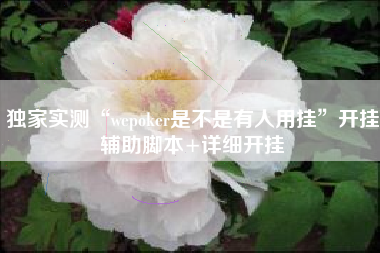 独家实测“wepoker是不是有人用挂”开挂辅助脚本+详细开挂
