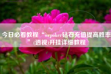 今日必看教程“wepoker钻石充值提高胜率”(透视)开挂详细教程