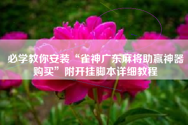 必学教你安装“雀神广东麻将助赢神器购买	”附开挂脚本详细教程