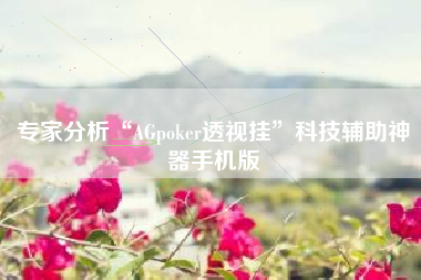 专家分析“AGpoker透视挂	”科技辅助神器手机版