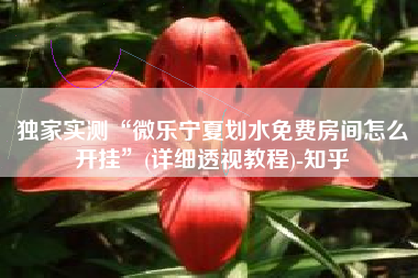 独家实测“微乐宁夏划水免费房间怎么开挂	”(详细透视教程)-知乎