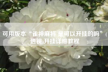 可用版本“雀神麻将 是可以开挂的吗	”(透视)开挂详细教程