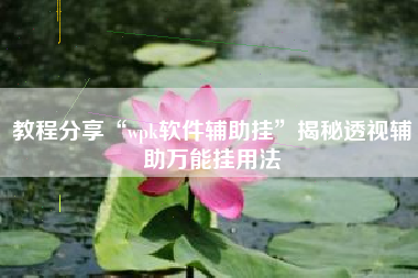 教程分享“wpk软件辅助挂	”揭秘透视辅助万能挂用法