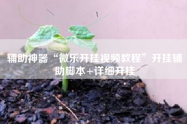 辅助神器“微乐开挂视频教程”开挂辅助脚本+详细开挂