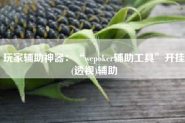 玩家辅助神器：“wepoker辅助工具”开挂(透视)辅助